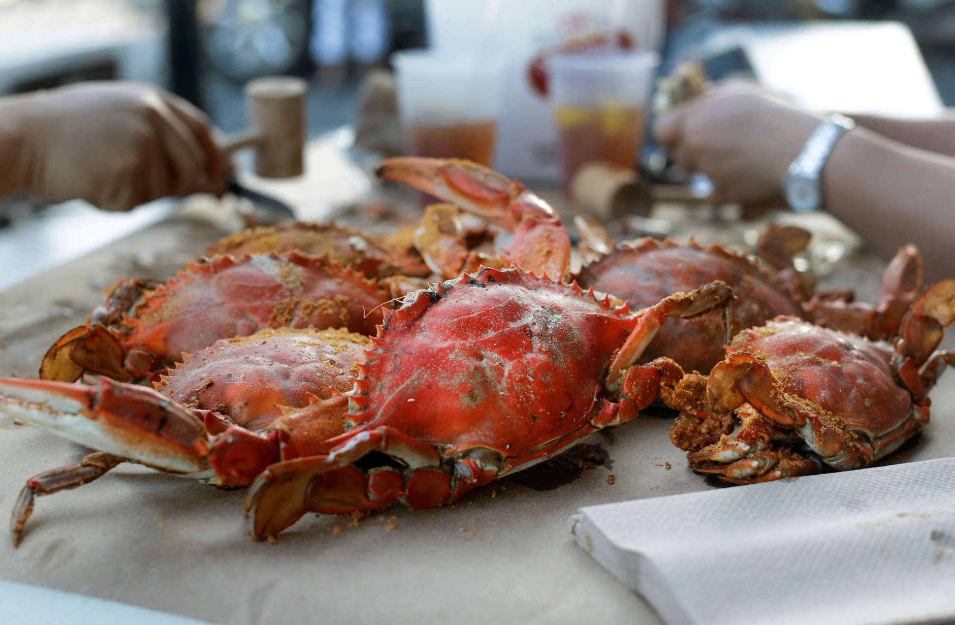 In this May 30, 2014 picture, Wallie Leung, back left, and his wife Jenny eat an order of crabs at Jimmy Cantlers Riverside Inn in Annapolis, Md. (AP Photo/Patrick Semansky)