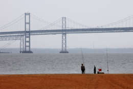 The health of the Chesapeake Bay has just been assessed by the University of Maryland Center for Environmental Science, and the report card grade is a "C." (AP Photo/Jacquelyn Martin, File)