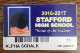 This photo provided by A.J. Schalk shows the student ID for his service dog Alpha, who appeared among the junior class photos in the Stafford  High School yearbook. (Courtesy A.J. Schalk)