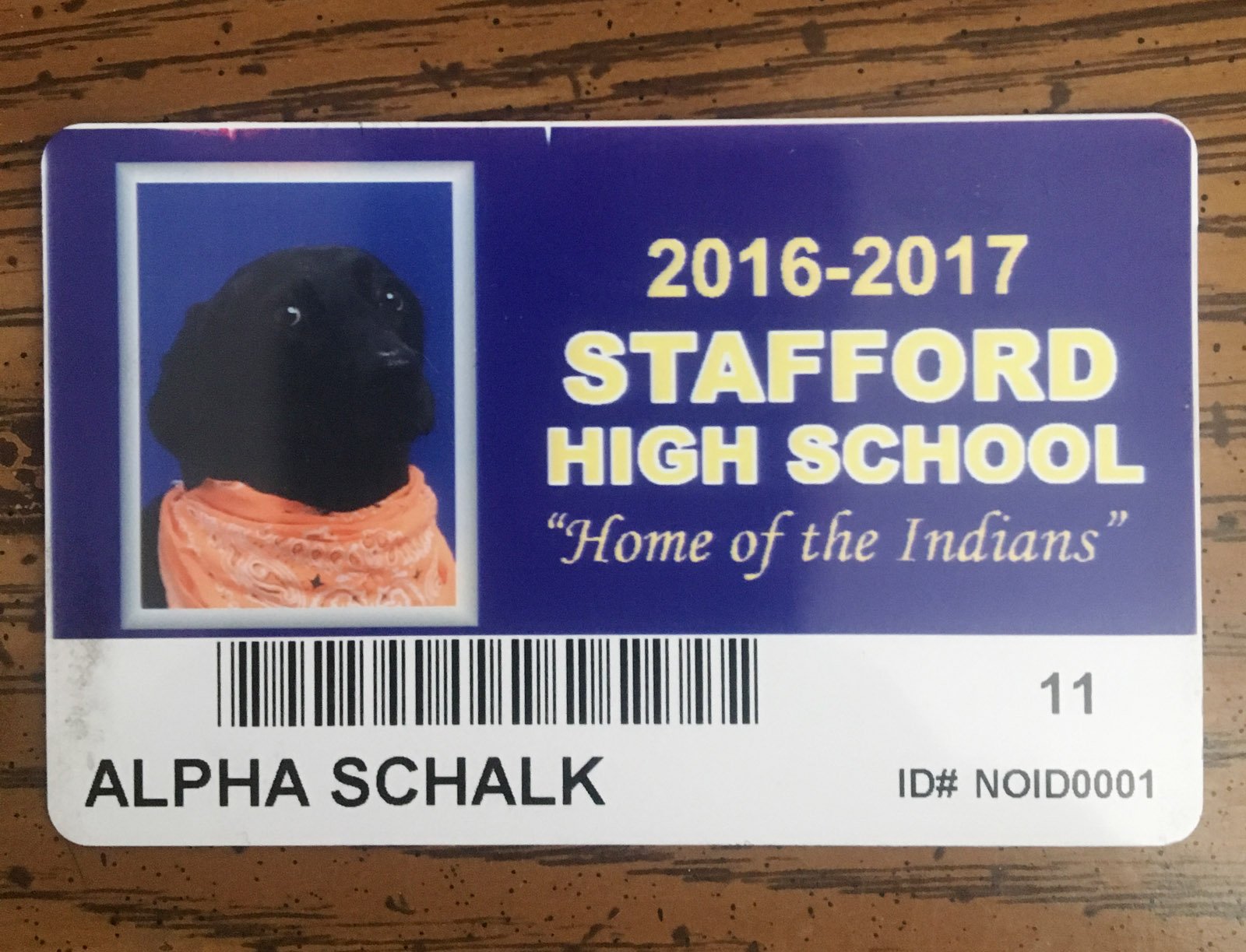 This photo provided by A.J. Schalk shows the student ID for his service dog Alpha, who appeared among the junior class photos in the Stafford  High School yearbook. (Courtesy A.J. Schalk)