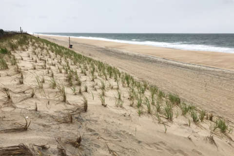 Delaware beach replenishment pushed further into summer