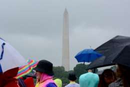 It was a soggy Thursday in the D.C. area. (WTOP/Dave Dildine)