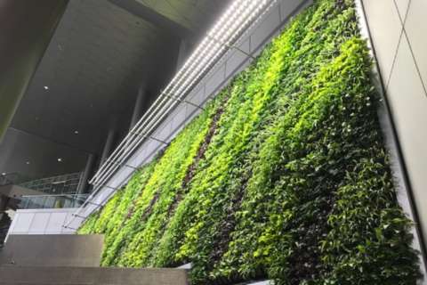 Rosslyn high rise gets 2nd-biggest active green wall