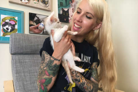 Md. woman takes care of the littlest kittens
