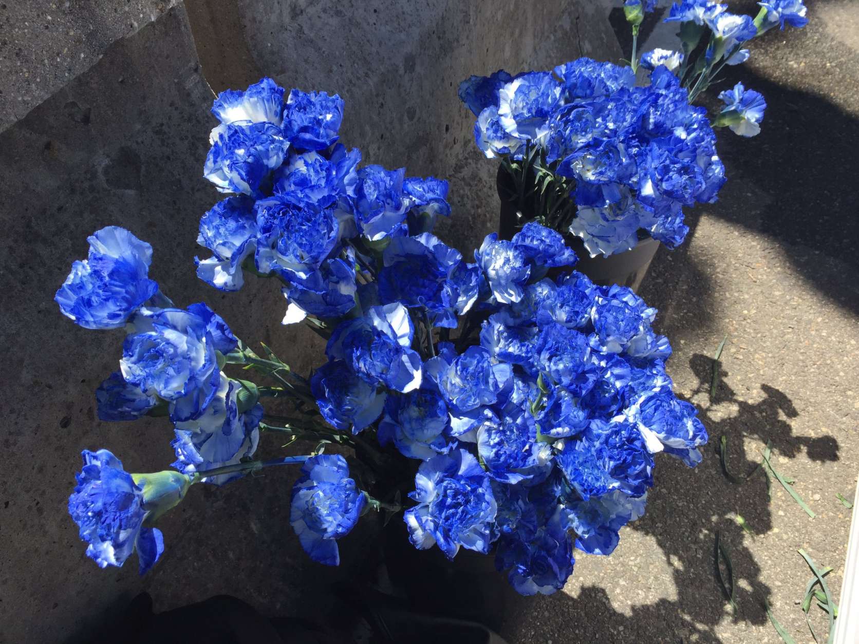 Flowers at the Washington Area Law Enforcement Officers Memorial Service. (WTOP/Kristi King)