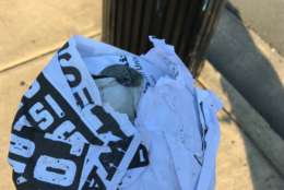 Residents took it upon themselves to take the flyers down, and Alexandria police say they are investigating who put them up. (WTOP/Dick Uliano) 