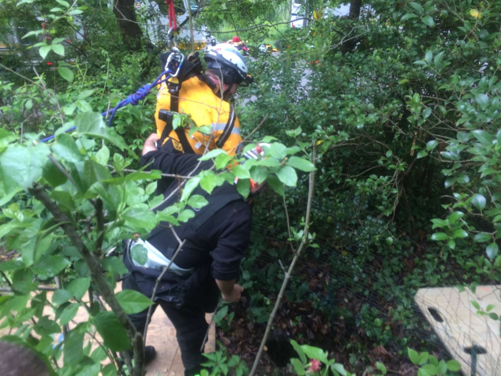 Firefighters rescued an 85-pound border collie that fell in a sinkhole in Woodland Beach. (Courtesy Anne Arundel County Fire Department)