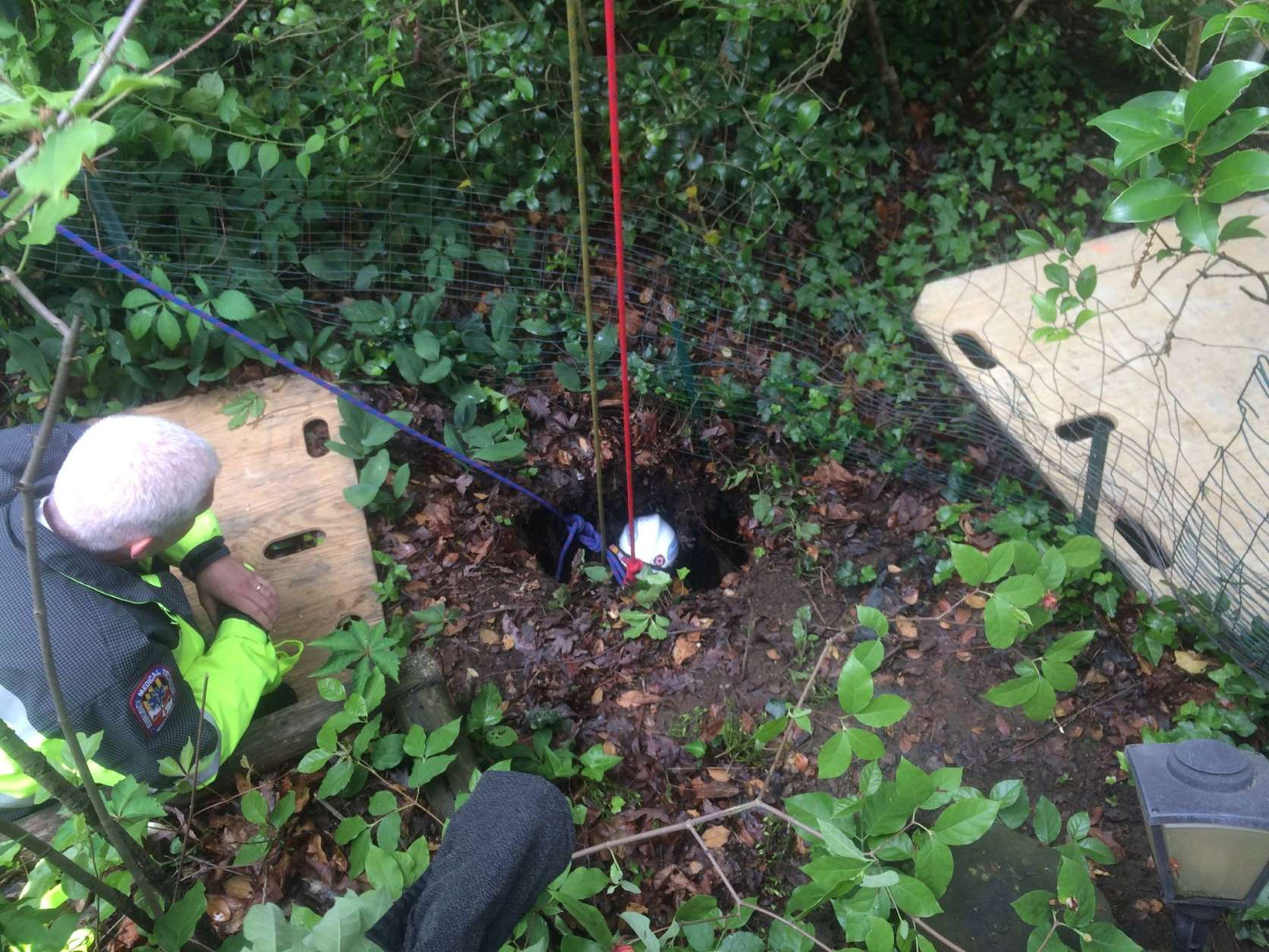 Firefighters rescued an 85-pound border collie that fell in a sinkhole in Woodland Beach. (Courtesy Anne Arundel County Fire Department)