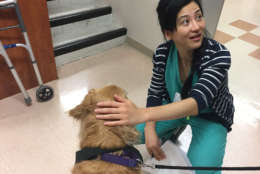 Nurses and other staffers at MedStar Washington Hospital Center enjoyed visits from three therapy dogs brought on Thursday especially for them as part of National Nurses Week. (WTOP/Michelle Basch)
