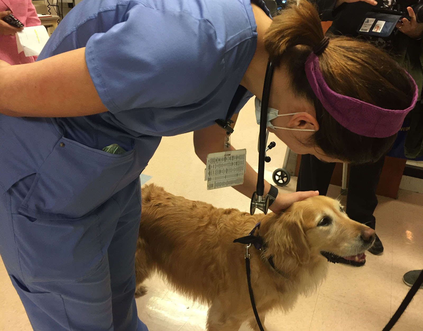 When MedStar Washington Hospital Center asked its nurses what they wanted for National Nurses Week, they asked for visits by therapy dogs. (WTOP/Michelle Basch)