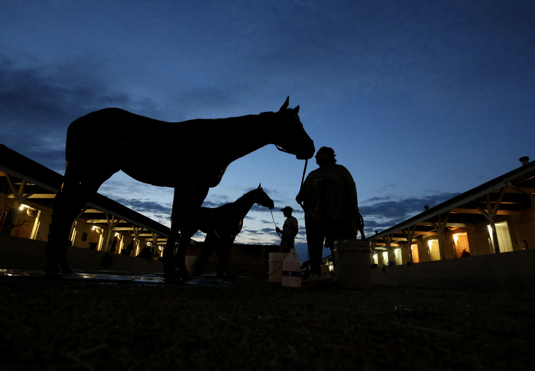 Horses await baths after an early-morning workout at Churchill Downs Wednesday, May 4, 2016, in Louisville, Ky. The 142nd running of the Kentucky Derby is scheduled for Saturday, May 7. (AP Photo/Charlie Riedel)