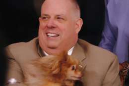 Maryland Gov. Larry Hogan holds one of the dogs from a Maryland animal welfare group before signing a number of bills designed to crack down on "the senseless crime of animal cruelty." Hogan, a dog- lover, asked about the backgrounds of many of the dogs. Lexi, Maryland's "First Dog," passed away in December. Hogan indicated he'd like to get another dog in the future. For now, he said of the presence of dogs at the bill-signing ceremony, "We should have dogs here every day!" (WTOP/Kate Ryan)