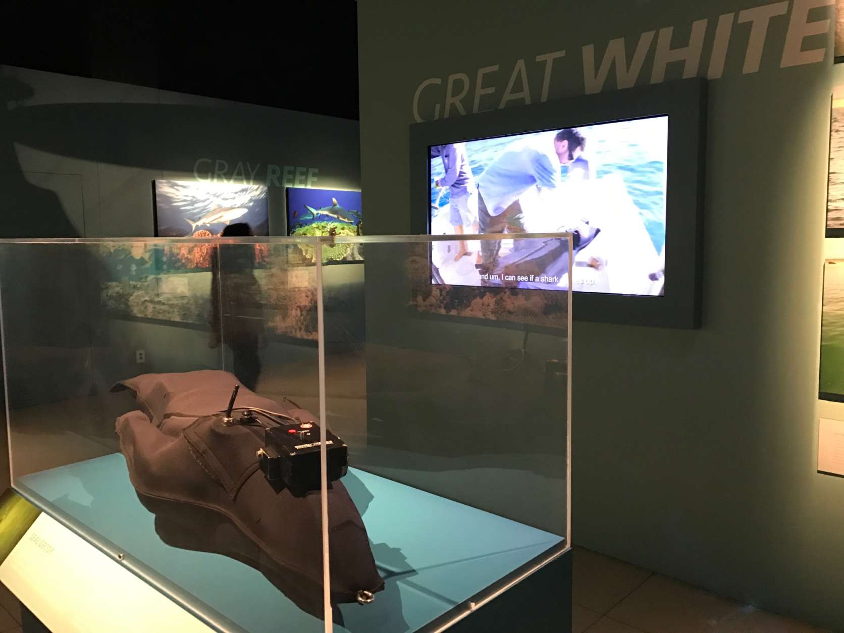 On display in the exhibit, a specially designed camera made to look like the body of a seal which Brian Skerry used to lure a Great White Shark to the camera off Cape Cod, Massachusetts. (WTOP/Megan Cloherty)
