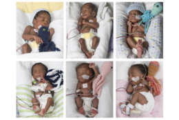 The first sextuplets, three boys and three girls, to be delivered at VCU Medical Center in Richmond. (Courtesy Allen Jones, University Marketing) 