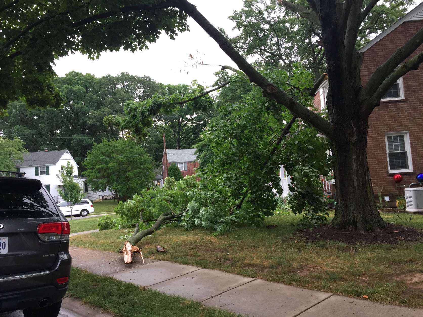 Storm damage in Arlington Forest neighborhood in Virginia. (Courtesy Liz Vance)