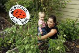 Aimee Code and her 19-month-old daughter, Haylee Code, tend to their organic garden at their Eugene, Ore., home Wednesday, July 12, 2006. More than two years after a federal judge ordered the U.S. Environmental Protection Agency to start protecting endangered salmon from pesticides, warning labels that are supposed to notify consumers of the dangers of lawn and garden chemicals are not making it into retail stores. (AP Photo/Chris Pietsch)