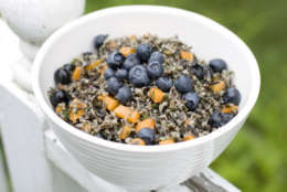 This July 22, 2013 photo shows a recipe for herbed wild rice salad with apricots and blueberries. (AP Photo/Matthew Mead)