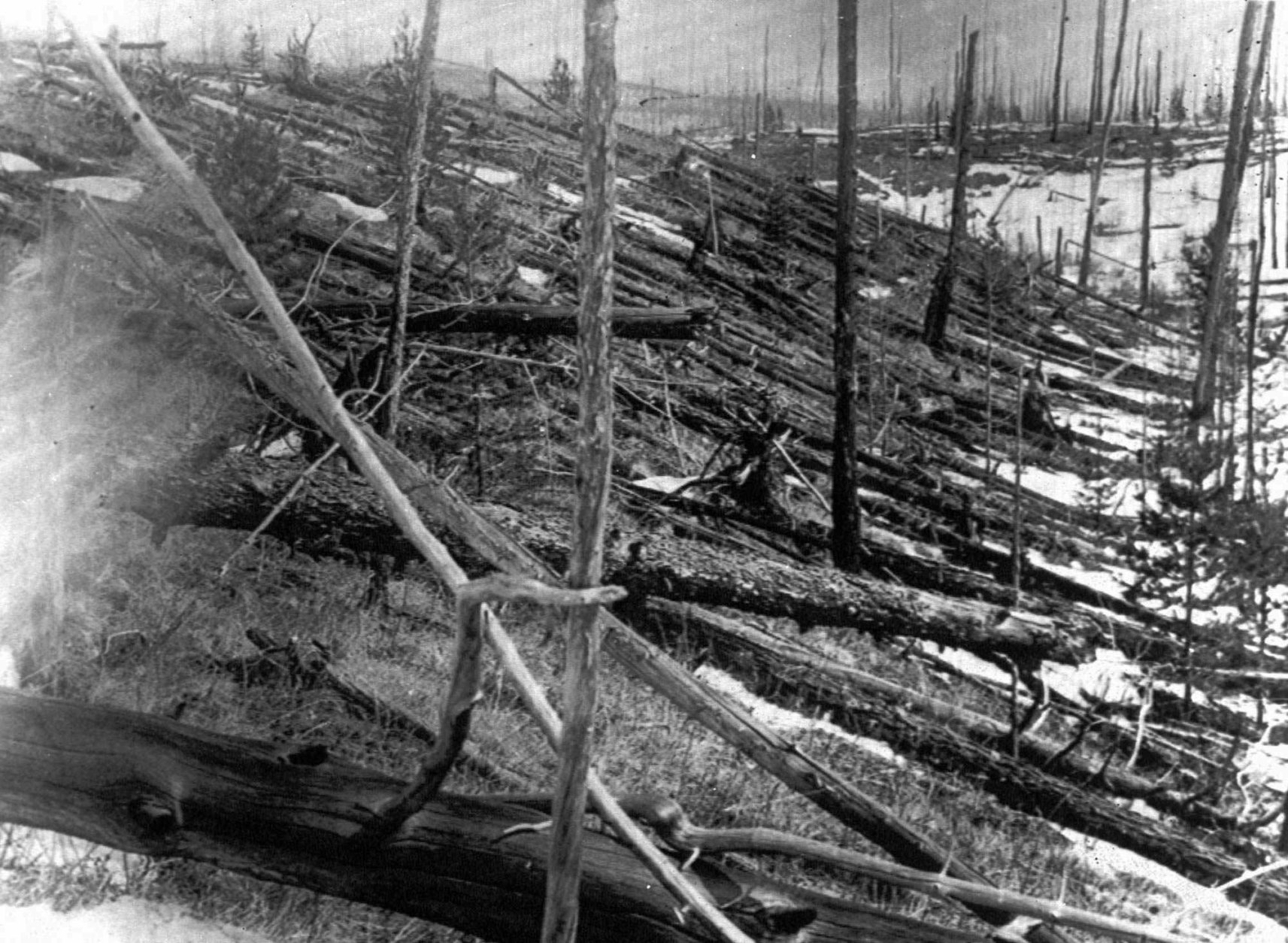 FILE - In this 1953 file photo, trees lie strewn across the Siberian countryside 45 years after a meteorite struck the Earth near Tunguska, Russia. The 1908 explosion is generally estimated to have been about 10 megatons; it leveled some 80 million trees for miles near the impact site. The meteor that streaked across the Russian sky Friday, Feb. 15, 2013, is estimated to be about 10 tons. It exploded with the power of an atomic bomb over the Ural Mountains, about 5,000 kilometers (3,000 miles) west of Tunguska. (AP Photo, File)