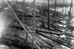 FILE - In this 1953 file photo, trees lie strewn across the Siberian countryside 45 years after a meteorite struck the Earth near Tunguska, Russia. The 1908 explosion is generally estimated to have been about 10 megatons; it leveled some 80 million trees for miles near the impact site. The meteor that streaked across the Russian sky Friday, Feb. 15, 2013, is estimated to be about 10 tons. It exploded with the power of an atomic bomb over the Ural Mountains, about 5,000 kilometers (3,000 miles) west of Tunguska. (AP Photo, File)