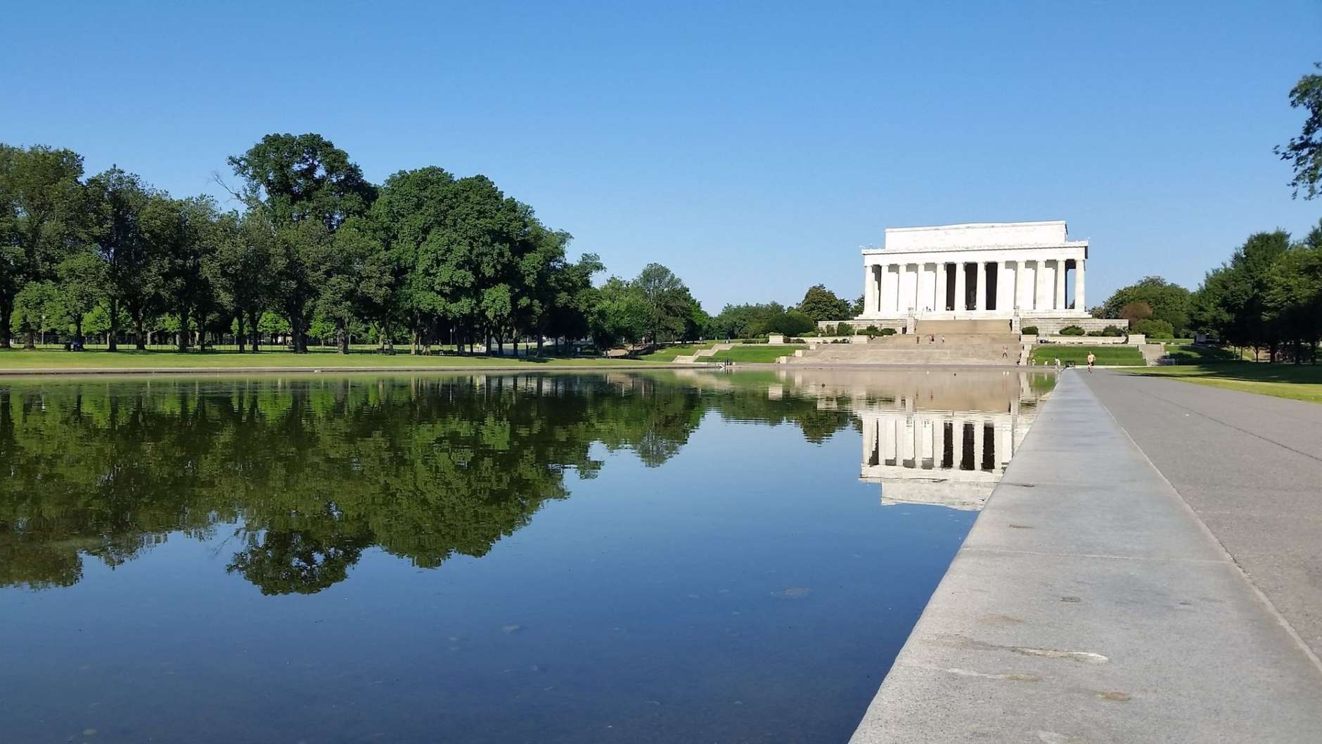 Parasite kills 80 ducklings at Lincoln Memorial Reflecting Pool - WTOP News