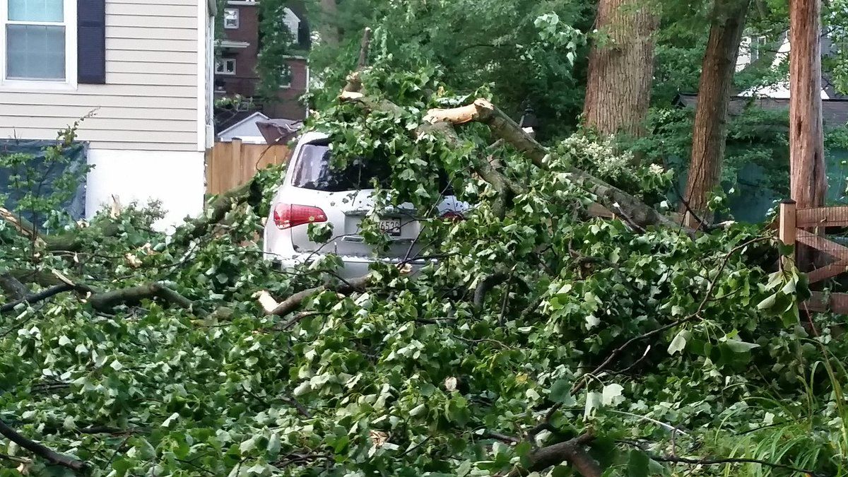 Fallout after tornado packing 70 mile an hour winds hit this neighborhood in Silver Spring, Maryland on Monday. (WTOP/Kathy Stewart)