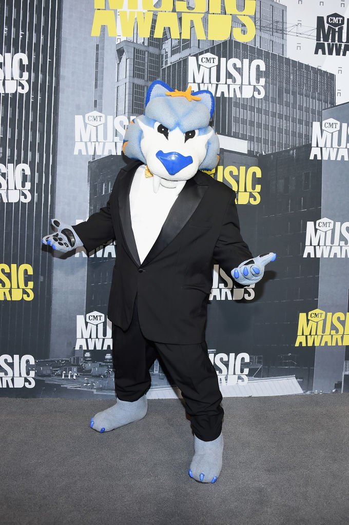 NASHVILLE, TN - JUNE 07: Nashville Predators mascot Gnash attends the 2017 CMT Music Awards at the Music City Center on June 7, 2017 in Nashville, Tennessee. (Photo by Michael Loccisano/Getty Images For CMT)
