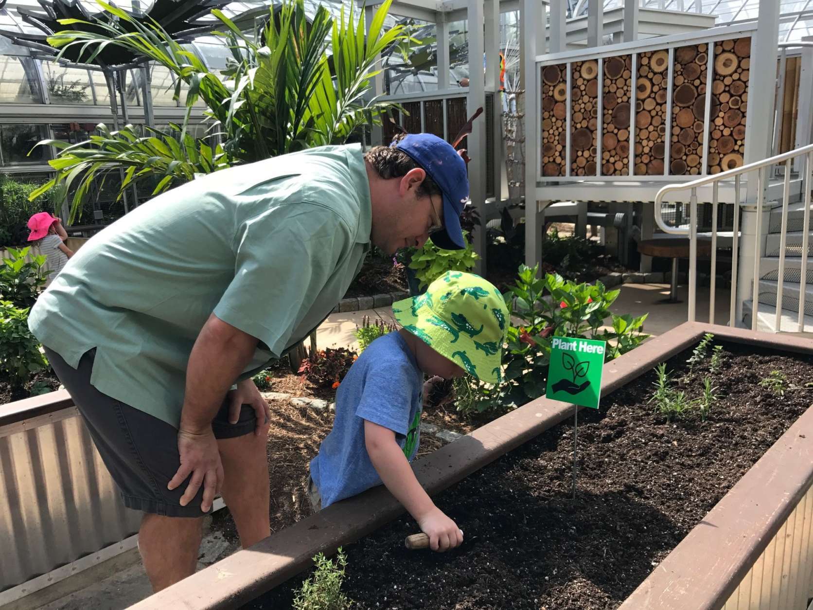 After an eight-month renovation, the children’s garden at the U.S. Botanic Garden is now open to the public. The newly refreshed space includes a climbing structure, a children’s-sized digging area, a kiwifruit tunnel and a plant-your-own garden station. (WTOP/Rachel Nania) 