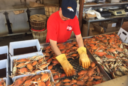 Both steamed and live crabs are available at Jessie Taylor Seafood in D.C. (WTOP/Michelle Basch)