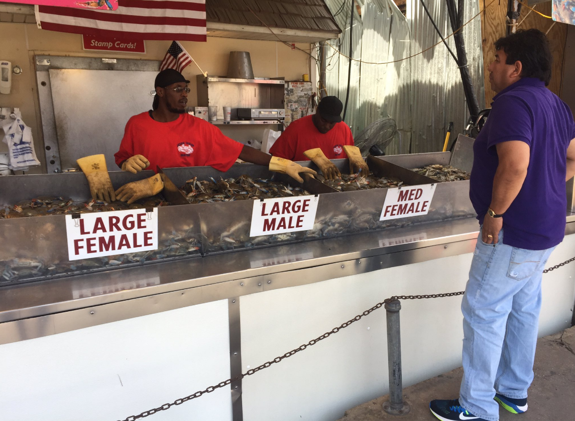 As Independence Day approaches, prices at Jessie Taylor Seafood could rise to about $125–$300 a bushel. (WTOP/Michelle Basch)