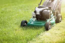 By using a sod lawn, you can turn a struggling lawn into a lush, green carpet. (Thinkstock)