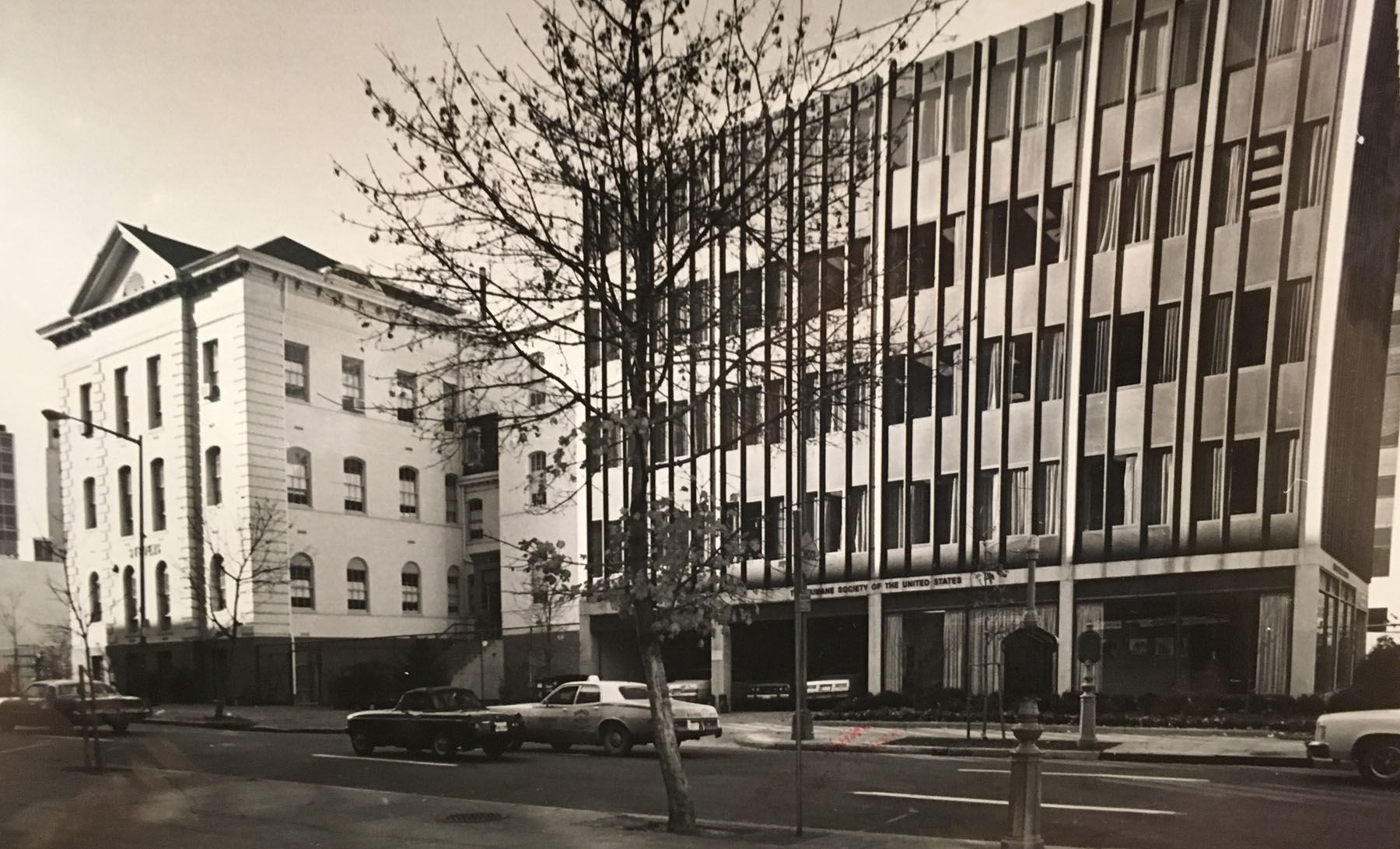 Beginning in the 1960s, modernist concrete and glass office complexes started going, alongisde the narrow three-story 19th century brick building. This 1980 photograph shows the school next to the headquarters of the Washington Human Society, which was built in 1963. (Courtesy Charles Sumner School Musuem and Archives)