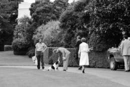President Jimmy Carter and Rosalynn Carter play with their dog "Grits" on the south lawn of the White House in Washington D.C. after returning from church on Sunday, August 6,1978. Earlier that day a group of people were arrested for planning to disrupt the church service in protest over the neutron bomb. (AP Photo)