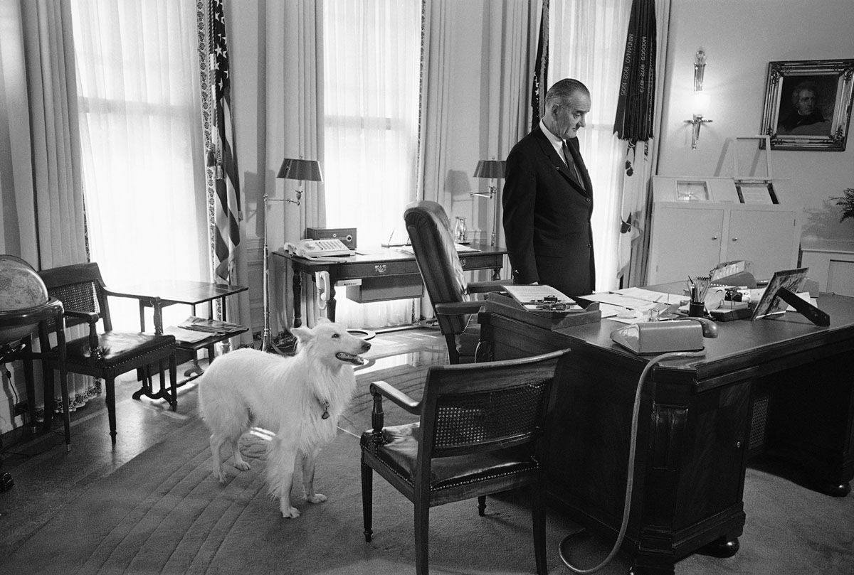 This study of President Lyndon Johnson was made as the Chief Executive stood at his White House desk, Oct. 6, 1965 in Washington with his white collie, Blanco. Johnson is scheduled to undergo a gall bladder operation on Friday at the Bethesda Naval Hospital. (AP Photo)