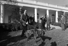 President Richard Nixon showed off Tim, his new six-month-old Irish Setter.  The dog, a gift to the president from his staff, made his formal debut in the White House Rose Garden in Washington, on Jan. 28, 1969.   At right background is Sen. Everett Dirksen, GOP Senate leader from Illinois, and Rep. Gerald Ford, hands in pocket, House Republican leader from Michigan.  The Nixons has two other dogs Vickie, a poodle, and Pasha, a Yorkshire terrior. (AP Photo)