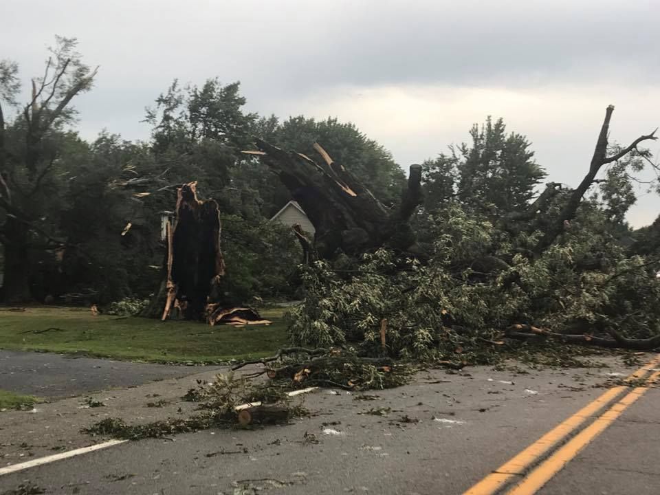 Damage after Monday's storm near the Chesapeake Bay area. (Courtesy Darron Zimmer)
