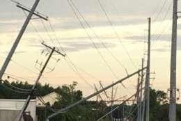Downed power lines and trees in Prince Anne's County, Maryland, after Monday's storm. (Courtesy Angie Chambers Russe)