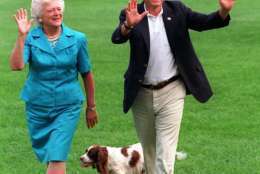 ** FILE ** In this Aug. 24, 1992 file photo, President and first lady Barbara Bush walk with Millie across the South Lawn as they return to the White House in Washington. (AP Photo/Scott Applewhite, File)