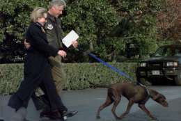 **FILE**   This March 13, 1998 file photo shows President Clinton, center, and first lady  Hillary Rodham Clinton with first puppy Buddy as they leave the White House for a presidential retreat at Camp David, Md.    (AP Photo/J.Scott Applewhite, FILE)