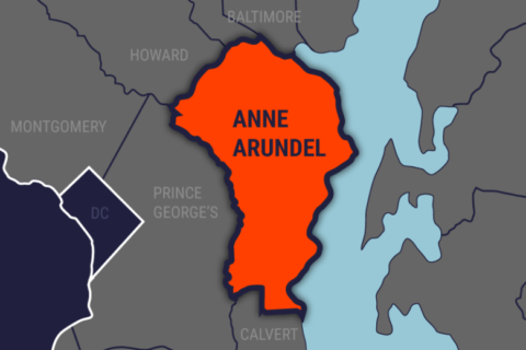 Anne Arundel Co. officer allegedly bit man in groin