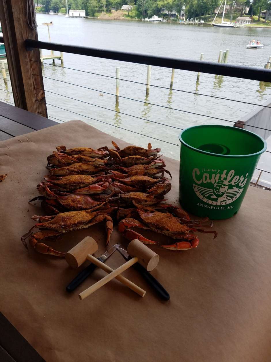 <h3>Best Seafood</h3>
<h4><a href="https://cantlers.com/" target="_blank" rel="noopener">Cantler’s Riverside Inn</a></h4>
<p><em>458 Forest Beach Road, Annapolis, Maryland</em></p>
<p>Runner-up: <a href="https://www.jerrysseafood.com/" target="_blank" rel="noopener noreferrer">Jerry’s Seafood</a></p>
<p><a href="https://wtop.com/business-finance/2023/08/wtop-top-10-2023-best-seafood/" target="_blank" rel="noopener">See the TOP 10 places to get seafood</a>.</p>
