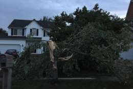 A possible tornado causes extensive damage in Queen Anne's County, Maryland. (WTOP/Kristi King)