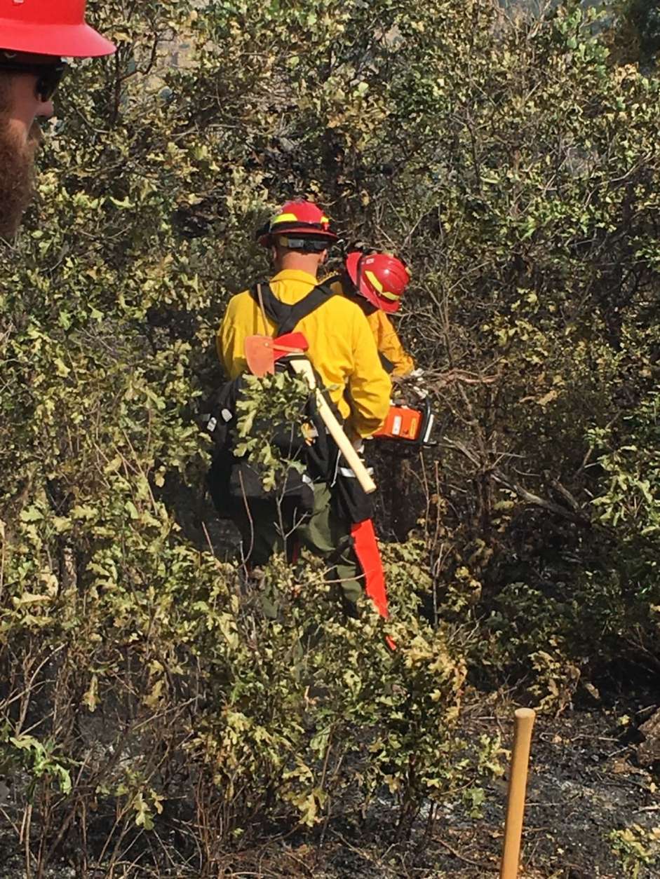 The Maryland Wildland Fire Crew that's deployed now in Colorado includes state agency firefighters as well as volunteer firefighters from Washington and Caroline Counties. (Courtesy, MdDNR/Lance Carroll)