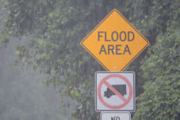 The National Weather Service says that between 1.5 and 3 inches of rain have fallen from near Gaithersburg to Silver Spring with flash floods already occuring along Rock Creek and Sligo Creek in Montgomery County, Maryland. (WTOP/Dave Dildine)