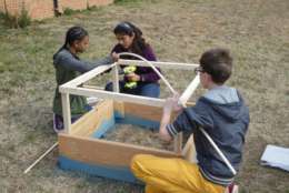Working on the challenge of solving food insecurity in their community, Edison High students designed and constructed greenhouses and actually grew green peppers. (Courtesy Amol Patel)