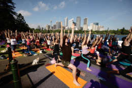 SYDNEY, AUSTRALIA - NOVEMBER 15:  Yogis take part in the Yoga Aid Sydney Challenge 2009 at Mrs Macquaries Point in the Royal Botanic Gardens Sydney on November 15, 2009 in Sydney, Australia. The event, which will happen in cities throughout Australia, sees participants perform 108 sun salutations in 108 minutes in order to raise money for charity.  (Photo by Brendon Thorne/Getty Images)