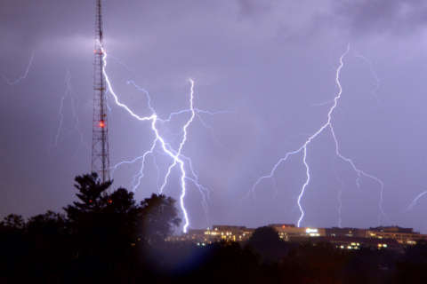 Strong storms sweep through DC area, toppling trees