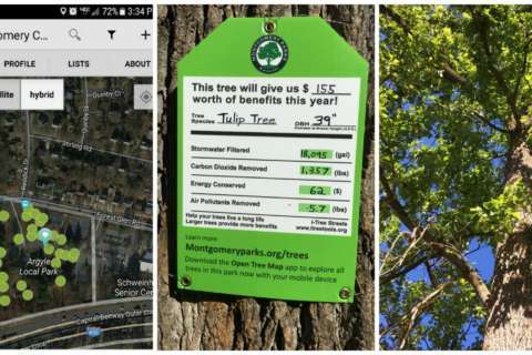 Montgomery Co. implements app to help map out trees in parks