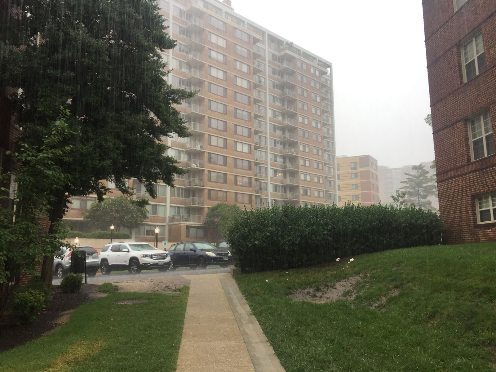 Rain comes down in downtown Silver Spring, Maryland. (WTOP/Patrick Roth)