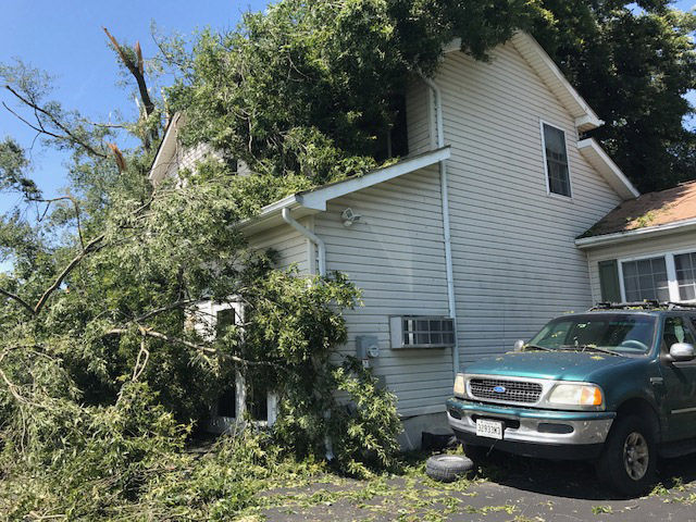 Fallen tree limbs cover a home in Stevensville, Maryland on Monday, July 24, 2017 after a violent storm tore through Queen Anne's County overnight. (WTOP/Steve Dresner)