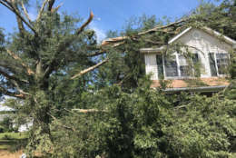 Tree limbs lay on the roof of a home in Stevensillve, Maryland, after a violent storm tore through the Queen Anne's County community early Monday morning. (WTOP/Steve Dresner)